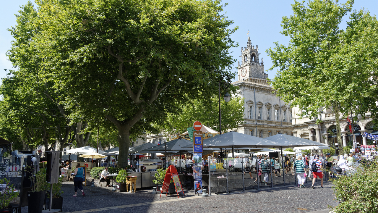 20150706 099  Avignon, ProvenceAlpesCote  d'Azur, France